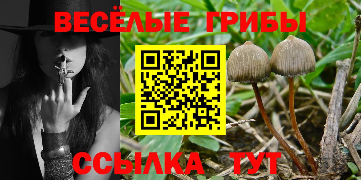 Галлюциногенные грибы MAGIC MUSHROOMS Кстово